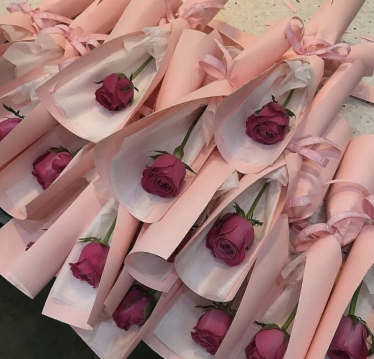 Rose Flower